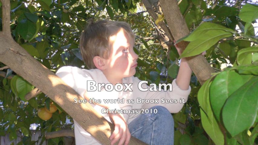 Webster - Broox Cam